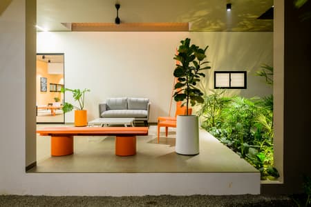 The Colour Burst House